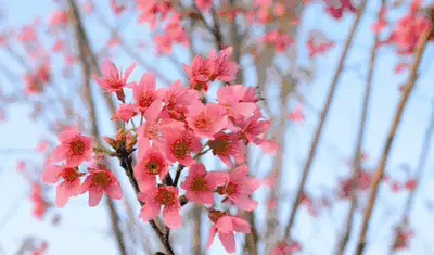 4e602a0b55d44d9c81bf78b435eafa86.gif