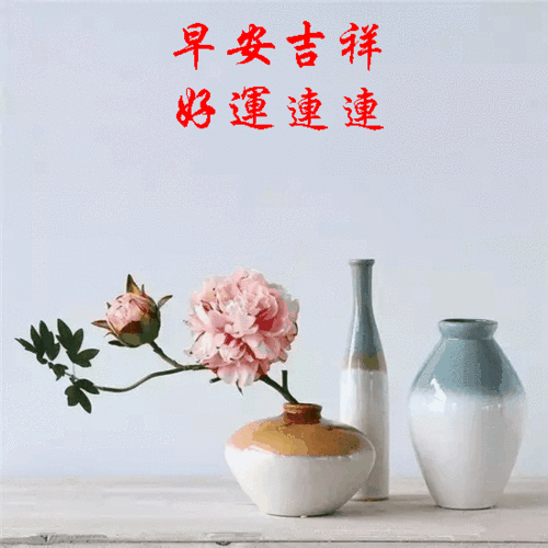 u=3174036789,831121599&fm=253&fmt=auto&app=138&f=GIF.gif