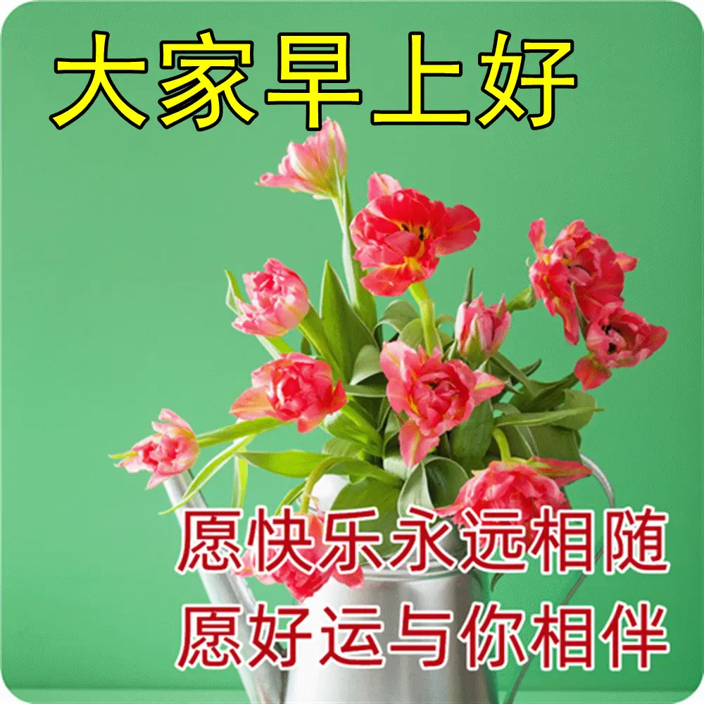 a18051b55d8041b1928bae22b6a13455.webp