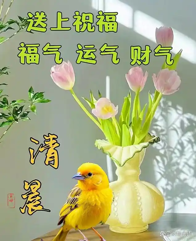 2fdda3cc7cd98d10ac829f04e21adc037bec9060.webp