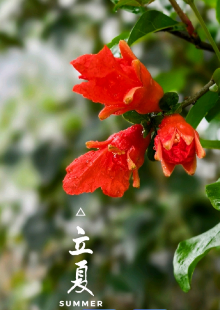 054602816.png image.png