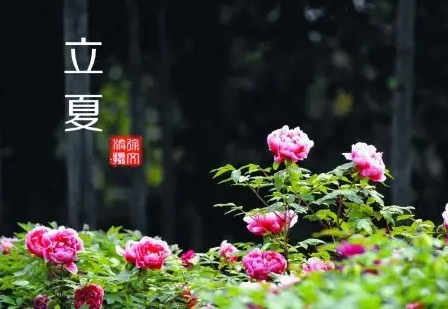 054805587.png image.png