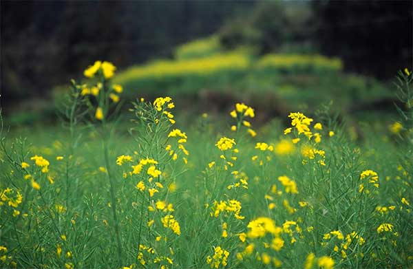 175004328.jpg 26.jpg