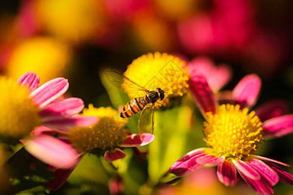 175109846.jpg 12.jpg