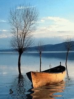 180403666.gif 8.gif