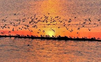 081503609.jpg t01d89ba572aeda5687.jpg