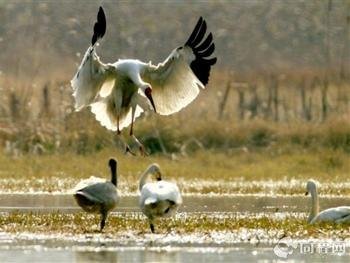 081508267.jpg t019b703a9d203e1148.jpg