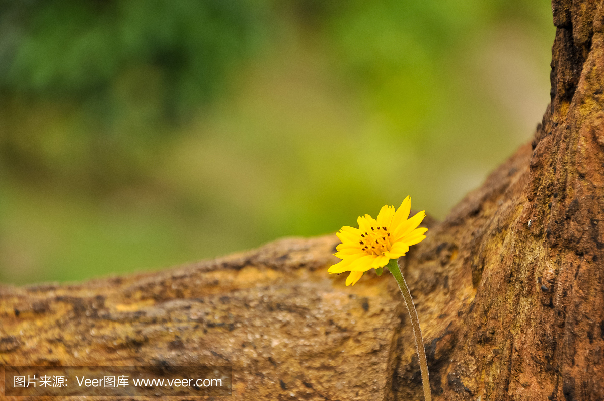 t0168c82083eb43de3b (1).jpg