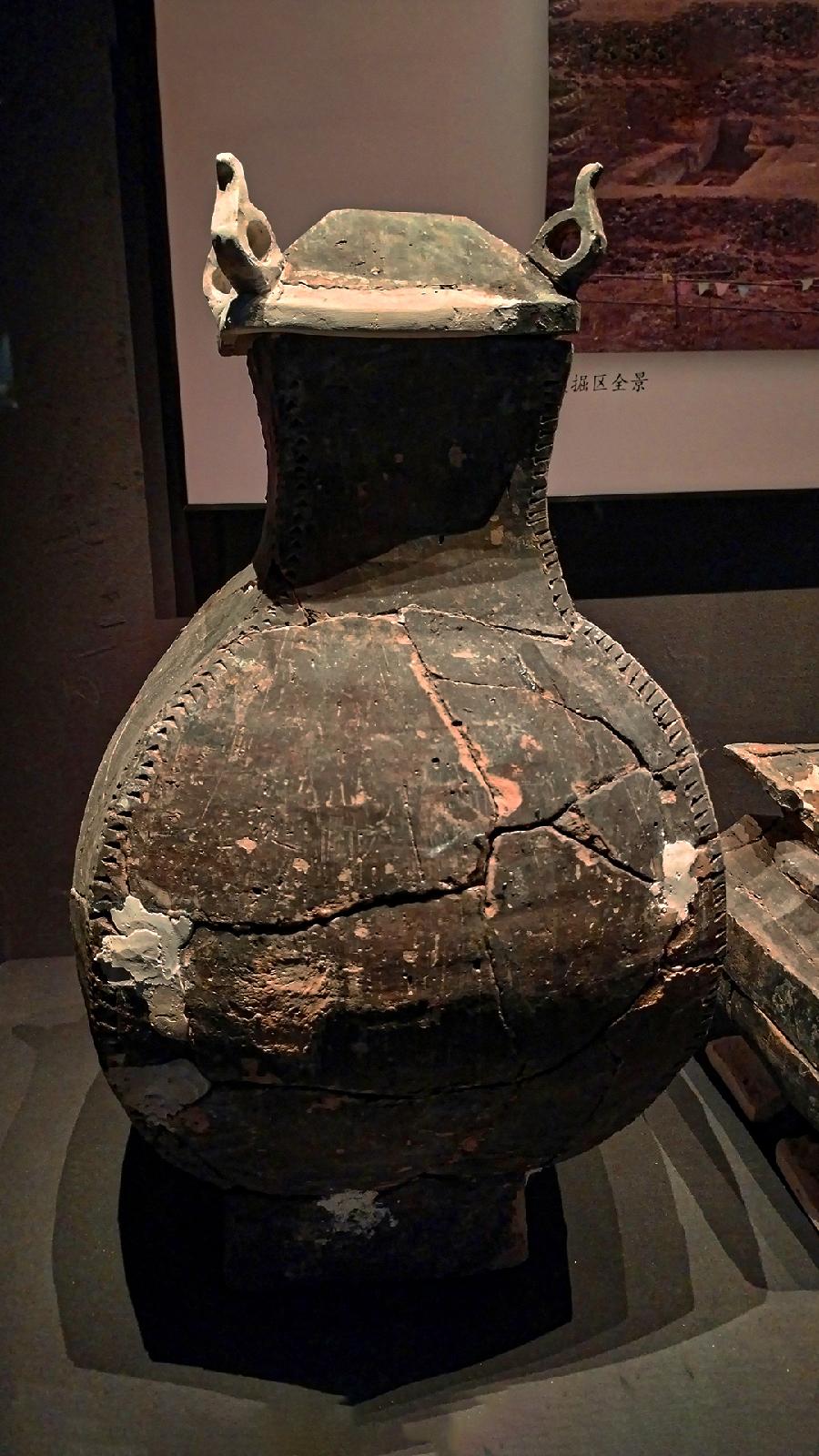 22 IMG_20240620_102952 拷贝