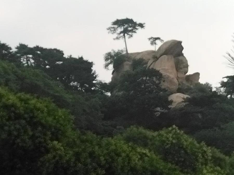 微信图片_20240714090623