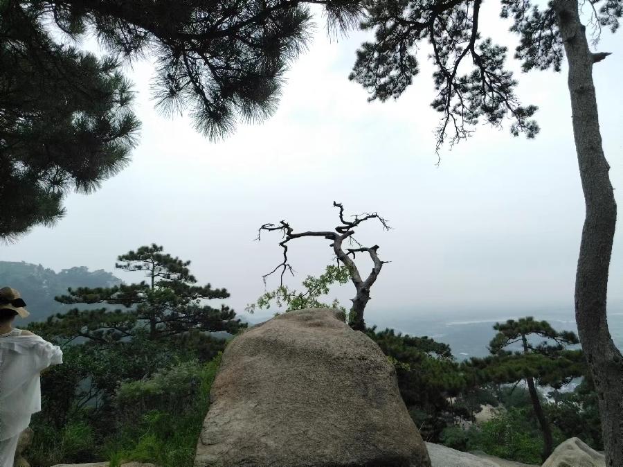 微信图片_20240714090645