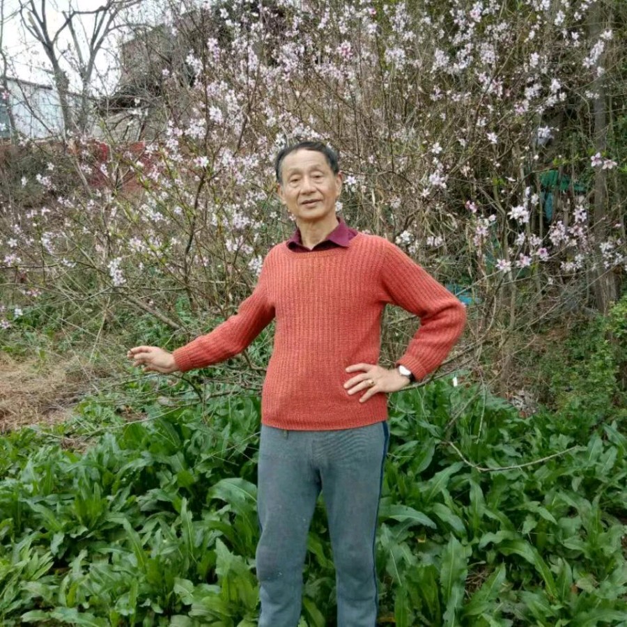 金牌主播铁魂诵/文化名人赖群森文《暗香飘尽今又是》