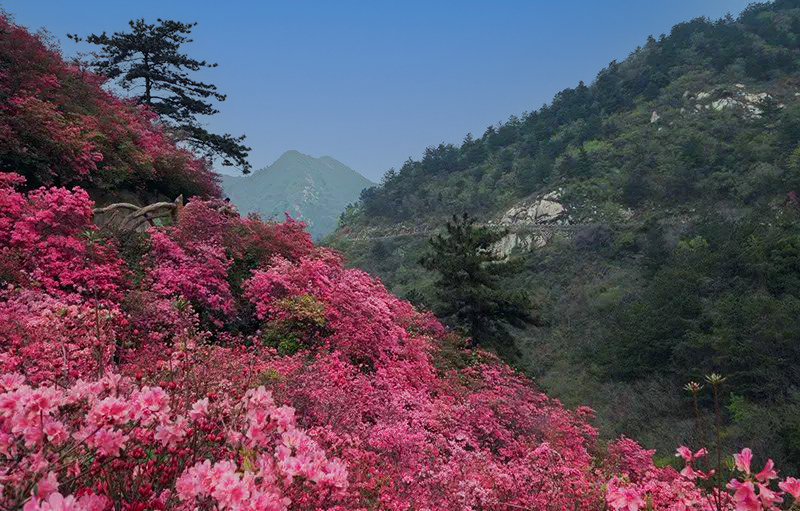 3 jpeg (10)_副本 拷贝