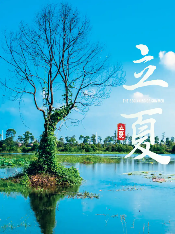 立夏2.webp_副本