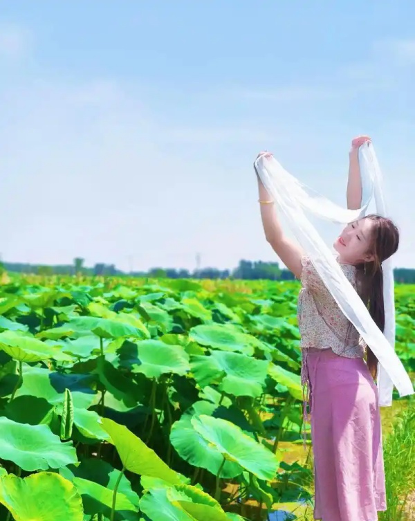 夏日抒怀1.webp_副本