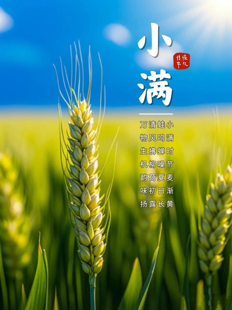 微信图片_20250520221516