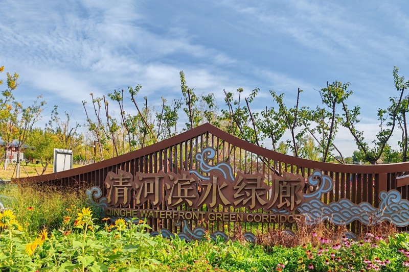 夏游武清生态绿廊公园1_副本