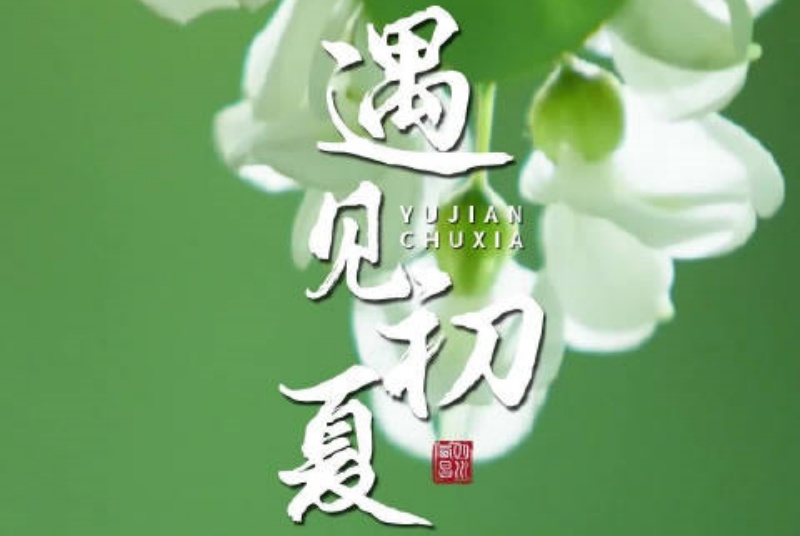 初夏抒怀2_副本