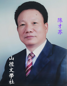 陈才苏-300