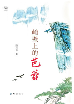 5.陈建族的书