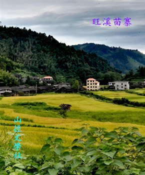 2.旺溪苗寨_350