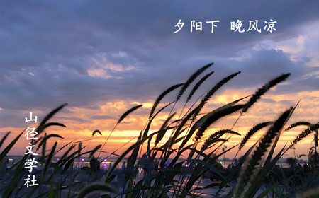 夕阳下晚风凉_450