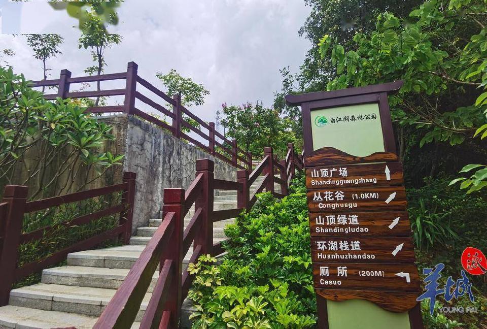 广州白江湖 (1)