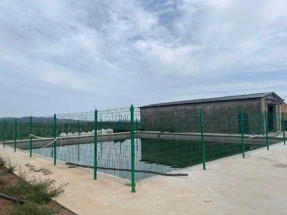 农业基地3
