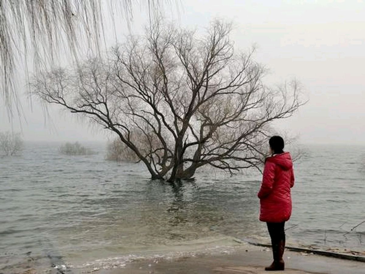 雨廷：德令哈之冬（外二首）