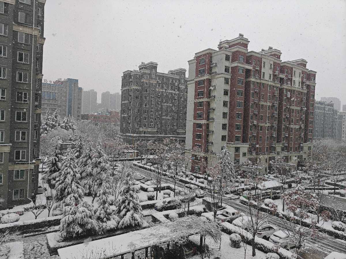 《 雪落小城》[烟花]  文／陈茹