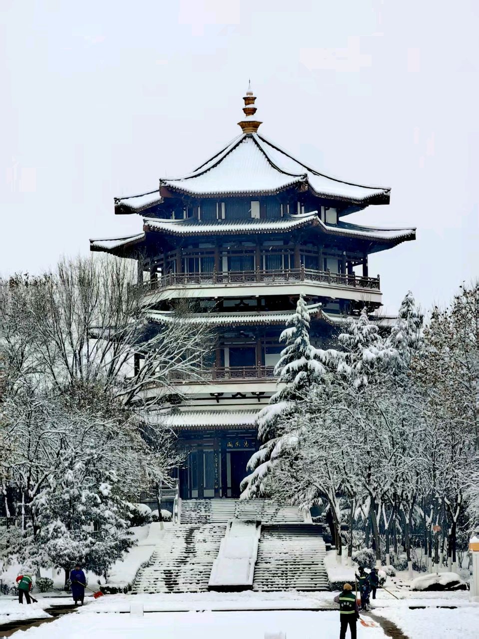 [爱心]《雪》[爱心]文/ 子 耕