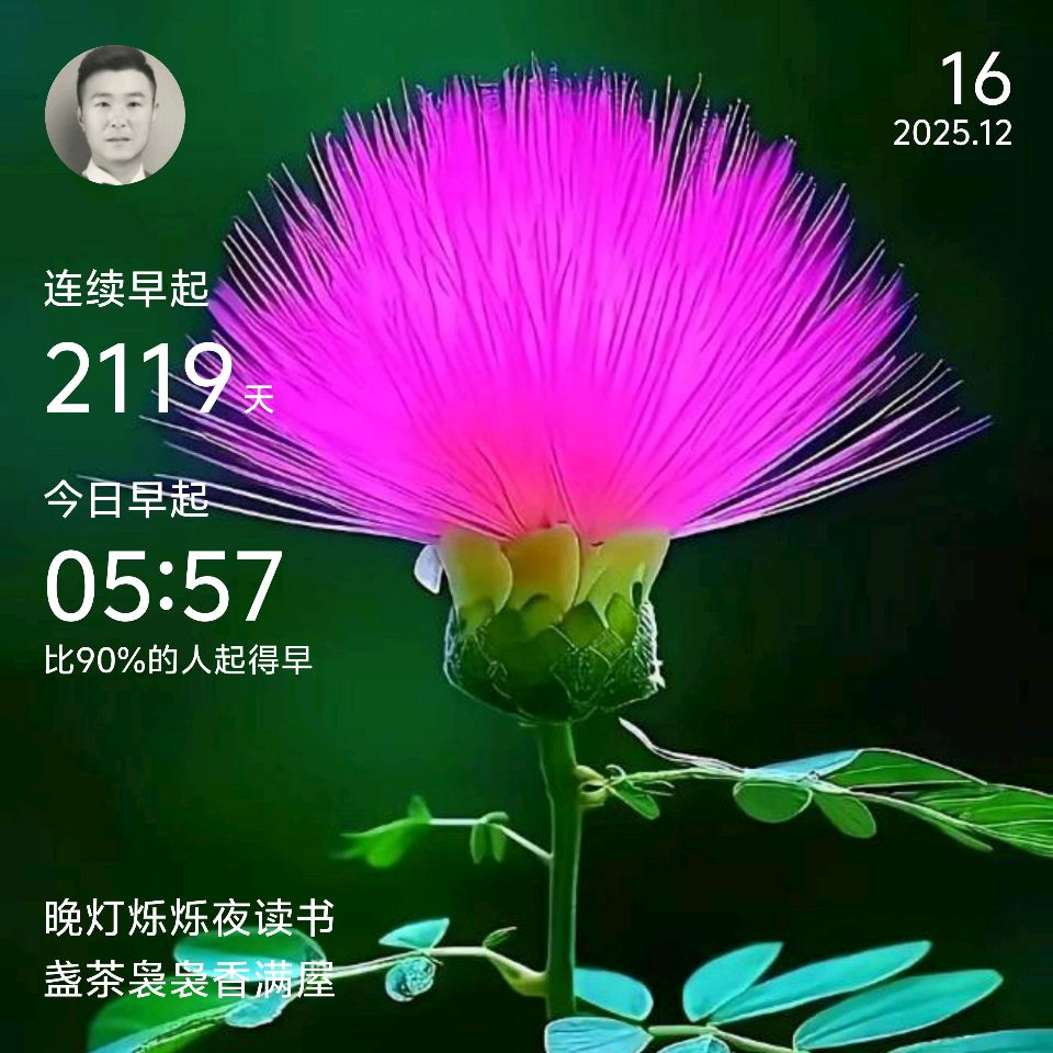 心怀美好    何惧风霜