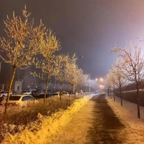 七律.冬夜观雪文/罗世识