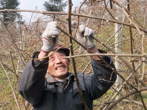 绪刚观天（刘涛）‖“老来伴”变“单蹦蹦”，乡村分离之痛该谁解？