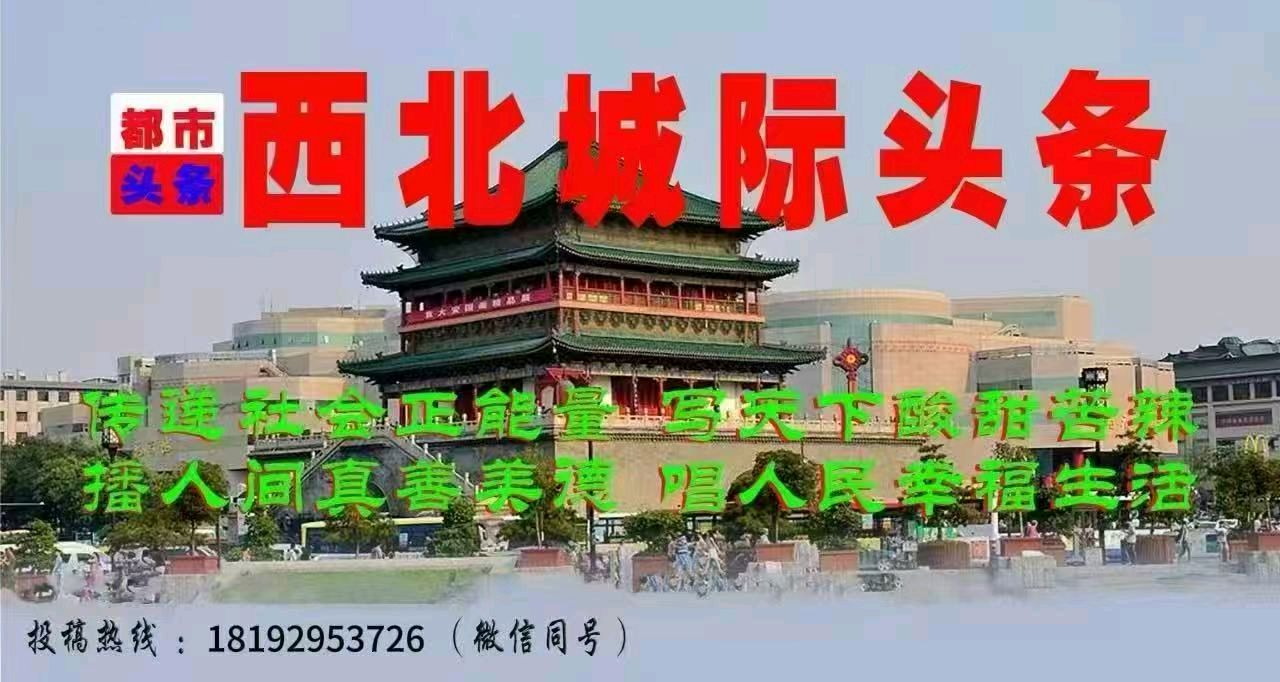 【冬至】如梦令.冬至：文/王华（青海西宁）