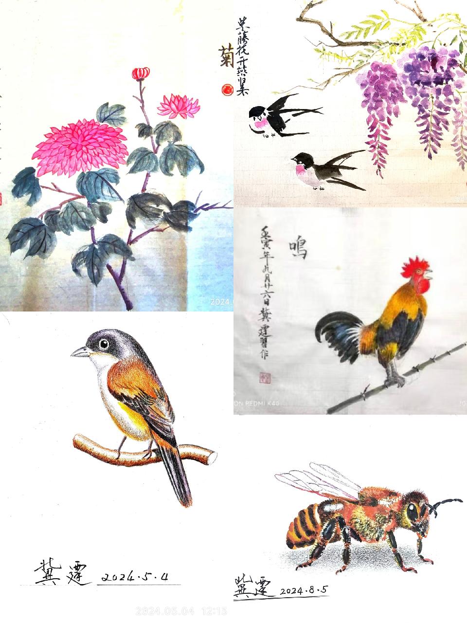 微信圖片_20260219133452_121_2818