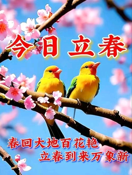 【荣耀中国】优秀诗人王楼诗词欣赏