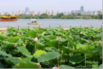 锦绣桑田：明湖九帖  // 桑恒昌