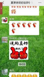 夏津文联诗词委员会乙巳年春节网络晚会特刊（格律诗）（总第一七七期）