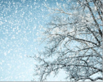 桑恒昌先生于雪韵中的情哲多重境  //  孙祝田
