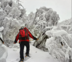 桑恒昌先生于雪韵中的情哲多重境  //  孙祝田
