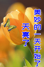 西楼文苑网络文化传媒