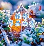 《汤圆》文/张静/主播/甜美台妹