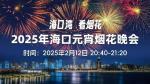 【海口元宵夜】焰火里的海口：文图/张子远（海南海口）