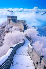 【荣耀中国】文学社*雪     作者/ 怪夫子