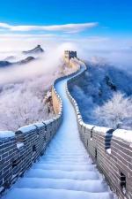 【荣耀中国】文学社*雪     作者/ 怪夫子