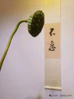 曹甲文老师美篇推荐《双双燕·草根谈（外一首）》    精英金牌主播仁娟    春辉若诗文学社第3644期