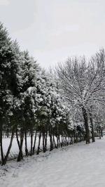 【故道文化·古风·7733】高峰《咏雪》