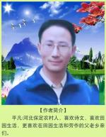 心向清宁/作者:平凡