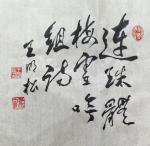 王明松～连珠体•梅雪吟【中国楹联野草诗社】第五研修院（第2162期）